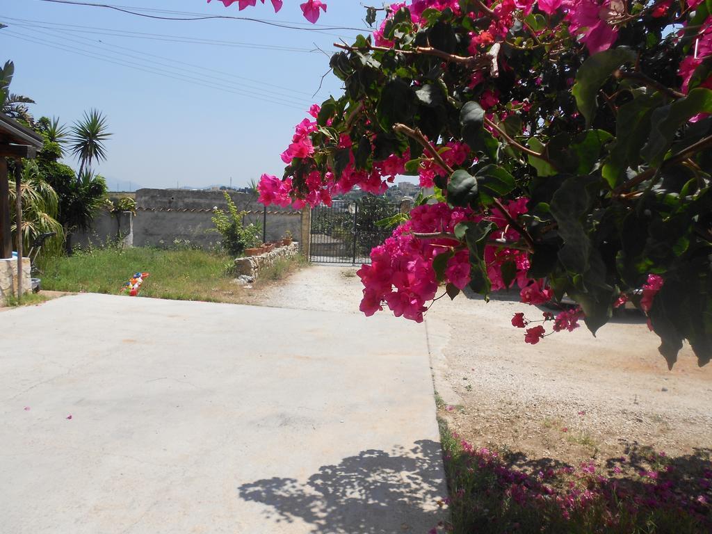 בית הארחה אלקאמו 	Casa Il Gelsomino מראה חיצוני תמונה
